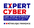 Expert cyber